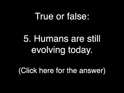 Evolution Quiz 5