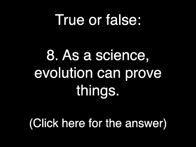 Evolution Quiz 8