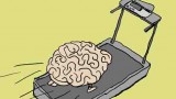 Do you burn more calories when you think hard?