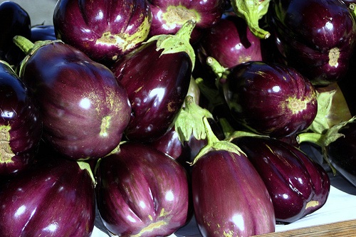 Will Eggplant be the World’s Next GM Crop?