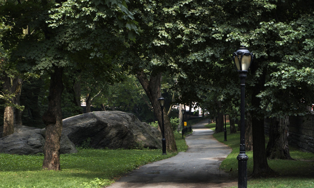 Can a Stroll in the Park Replace the Psychiatrist’s Couch?
